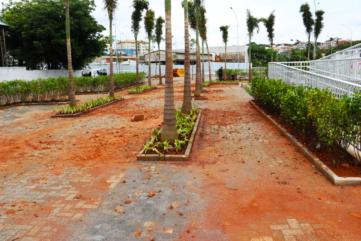 Praça da Poesia está recebendo plantio de 19 árvores e 31 palmeiras, além de paisagismo (2)