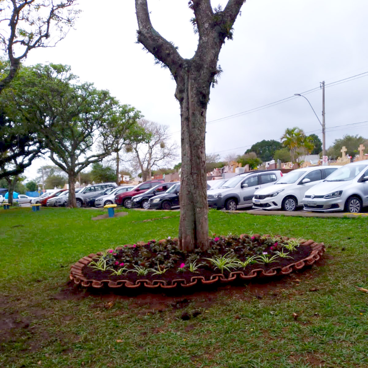 01.11.2022 Canteiro Praça da Paz