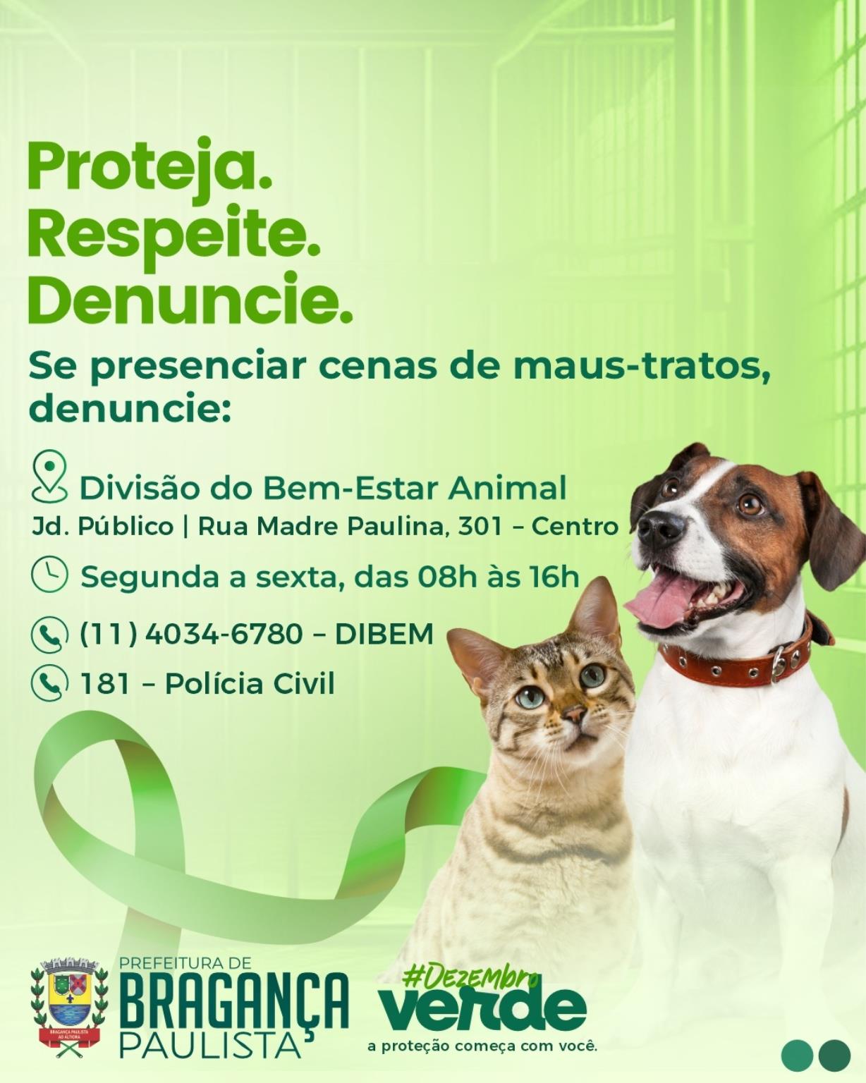 Dezembro Verde Bragança Paulista reforça ações de conscientização contra o abandono e os maus-tr