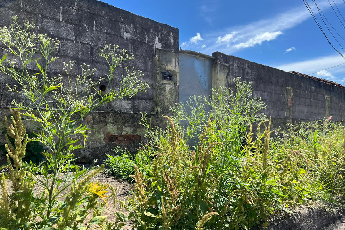 02.01.2023 Conservação da calçada sem mato e buraco é obrigação do proprietário, diz a lei (2)