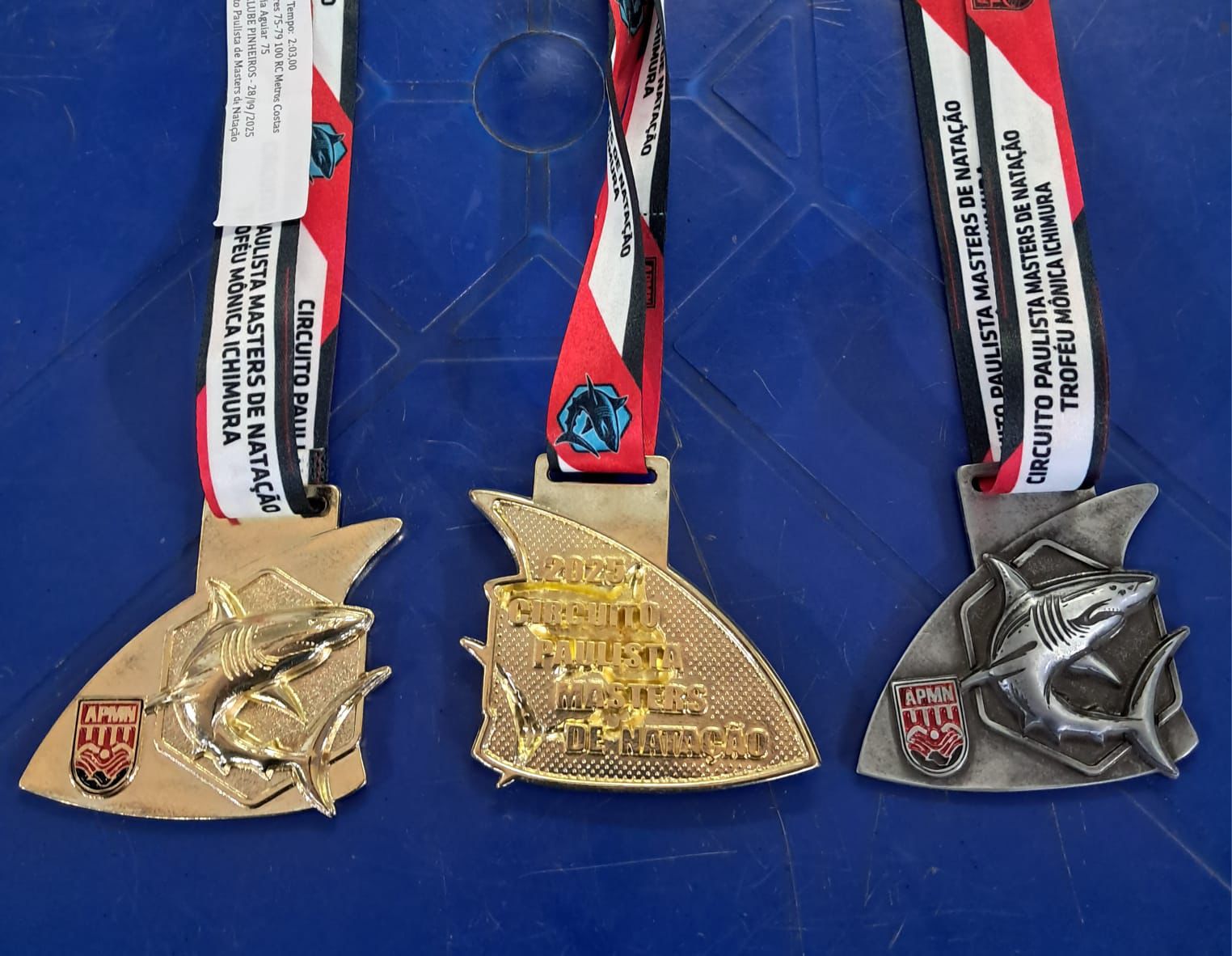 Nadadora bragantina conquista mais medalhas para o munic&iacute;pio