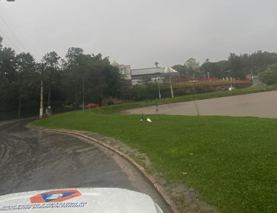 Defesa Civil registra chuva de forte intensidade e mant&eacute;m monitoramento no munic&iacute;pio