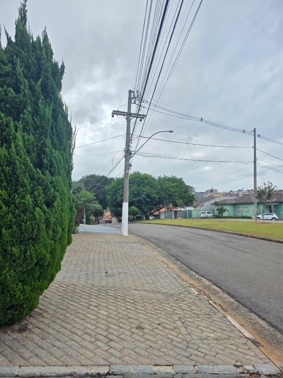 Uma cidade mais bonita e organizada começa com a responsabilidade dos moradores sobre calçadas e terrenos (1)