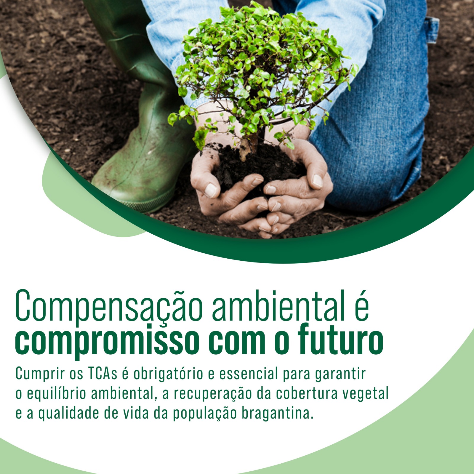 3- Prefeitura de Bragança Paulista convoca munícipes para plantio de árvores e refor (4)