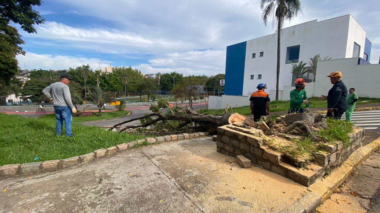 Corte preventivo Dr. Freitas