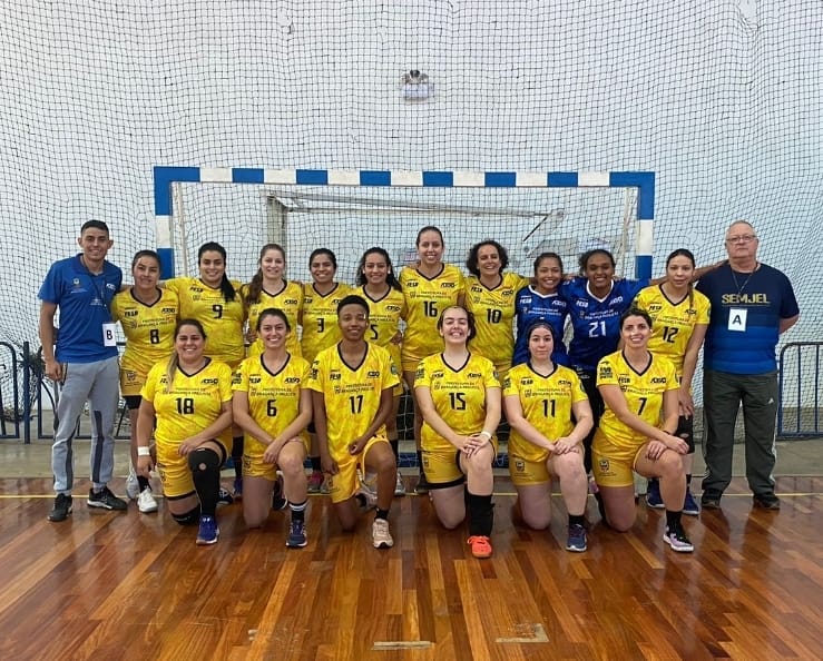 Equipe sub-14 de handebol feminino conquista o quarto lugar no Festival da  Liga de Handebol - Prefeitura de Bragança Paulista