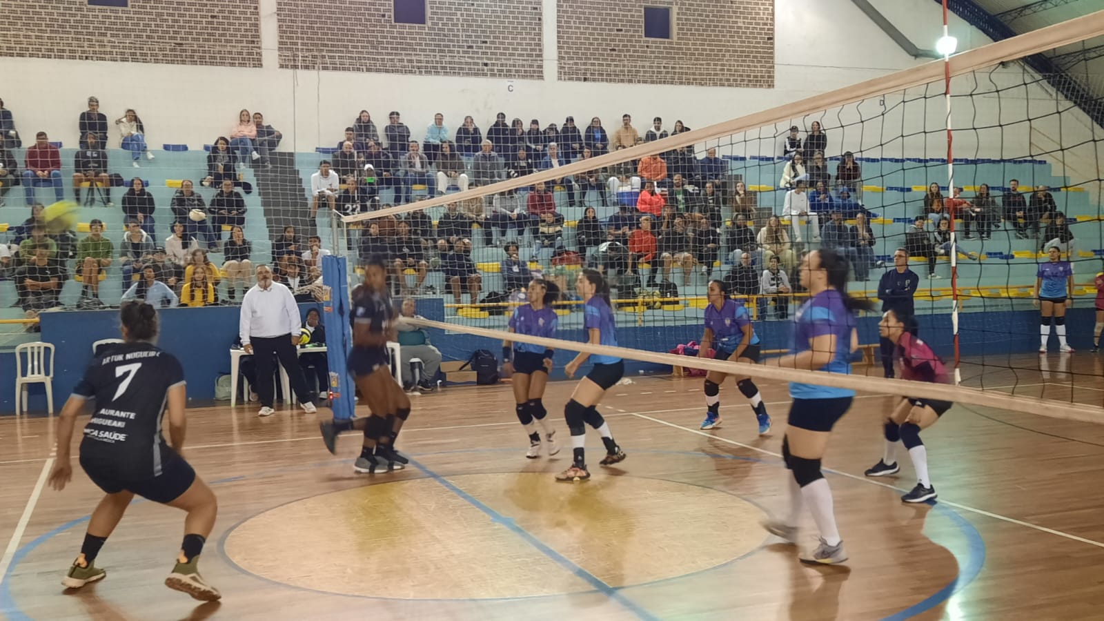 Voleibol feminino
