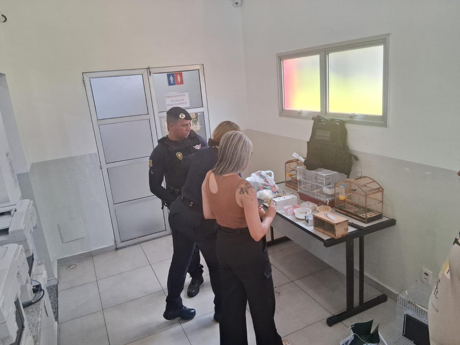Equipes tamb&eacute;m identificaram crime ambiental na mesma ocorr&ecirc;ncia
