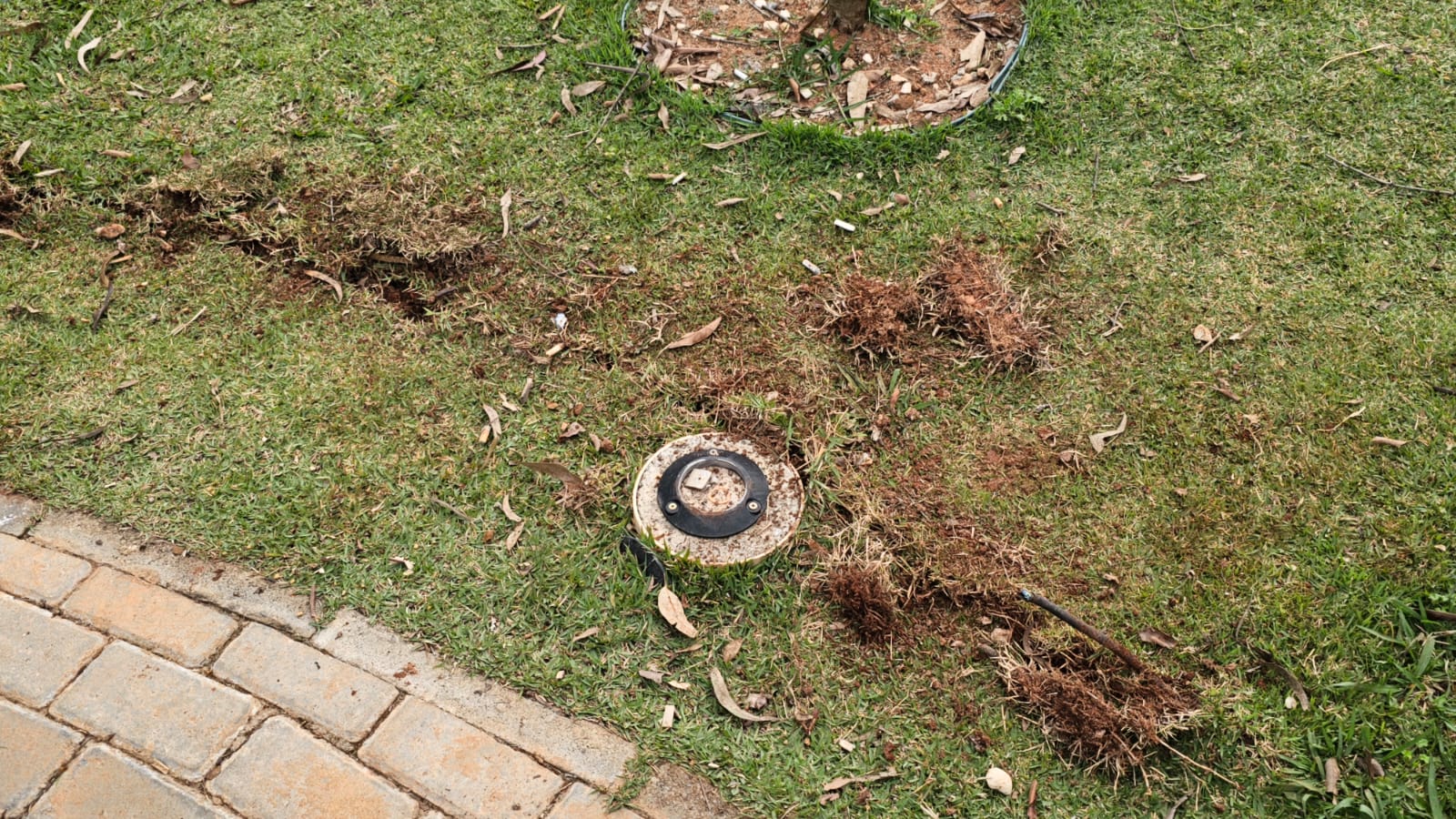Ladr&otilde;es furtam cabos do jardim japon&ecirc;s no Lago do Tabo&atilde;o 02