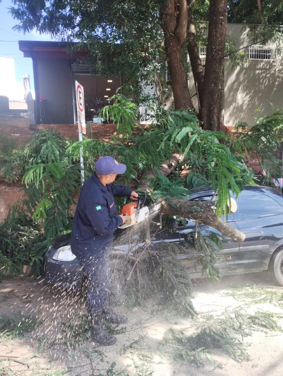 Ocorr&ecirc;ncia com queda de galho &eacute; registrada na Avenida S&atilde;o Francisco de Assis Foto 02