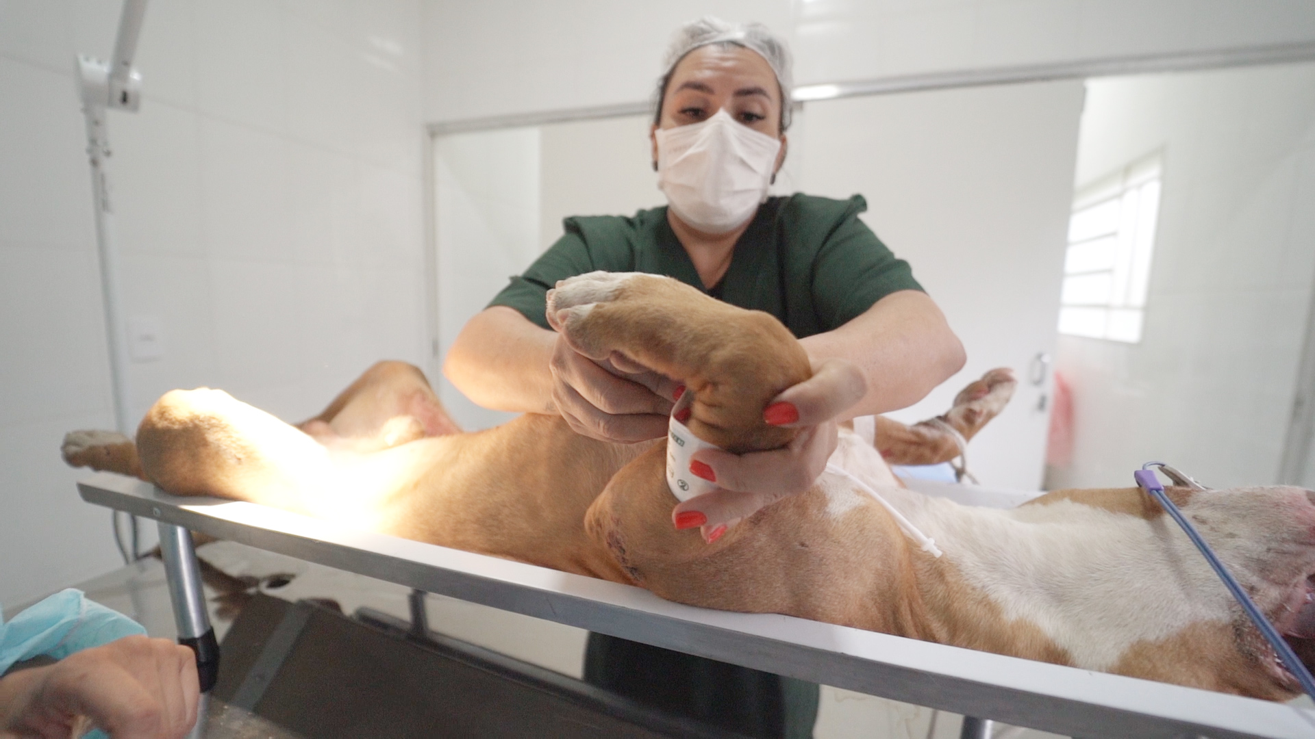 Centro Cirúrgico - Arquivo SECOM