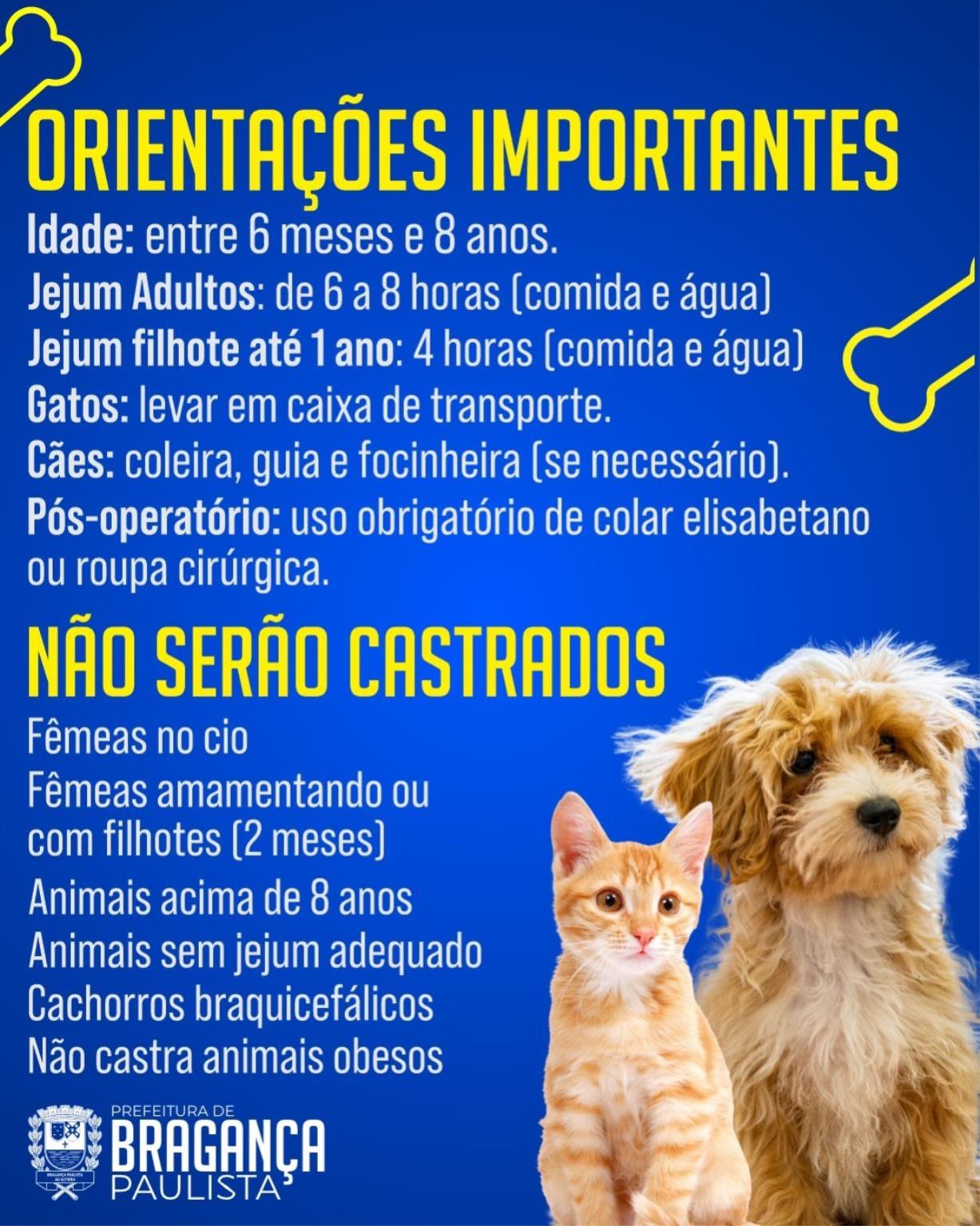 Castram&oacute;vel acontece nos dias 12 e 13 de janeiro no Posto de Monta (2)
