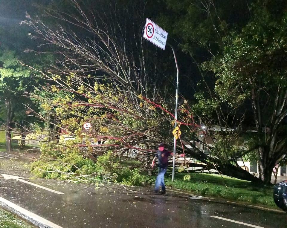 8b44f84d-6f7a-4ffb-8413-1690c3987b44