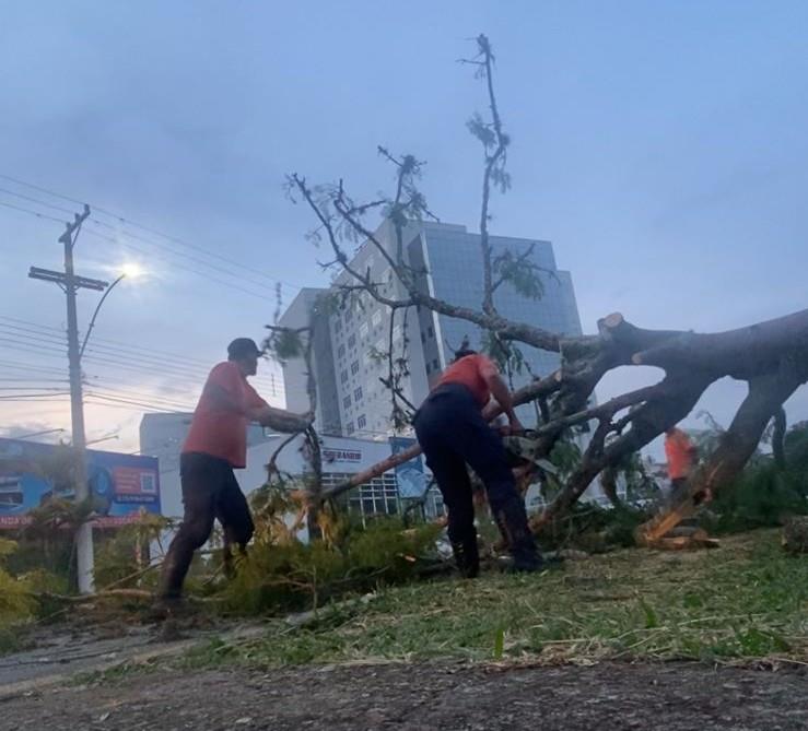 Bragança Paulista registra chuva de moderada intensidade Foto 2