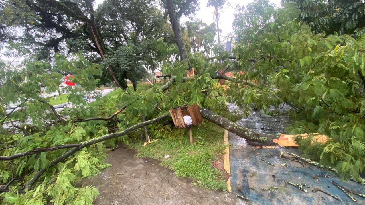 Defesa Civil monitora chuvas no munic&iacute;pio (2)