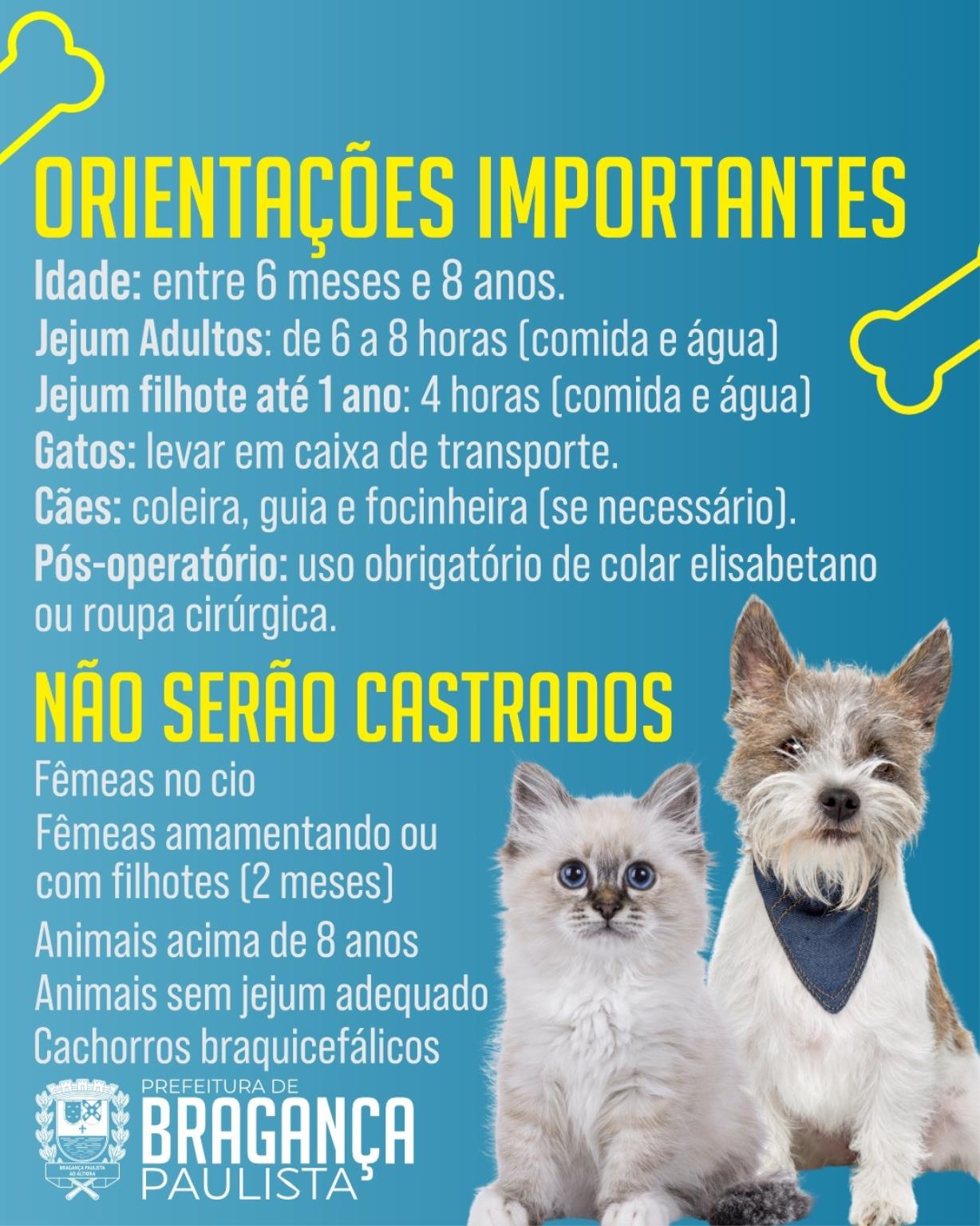 Castramóvel acontece nos dias 27 e 28 de novembro em Bragança Paulista (2)