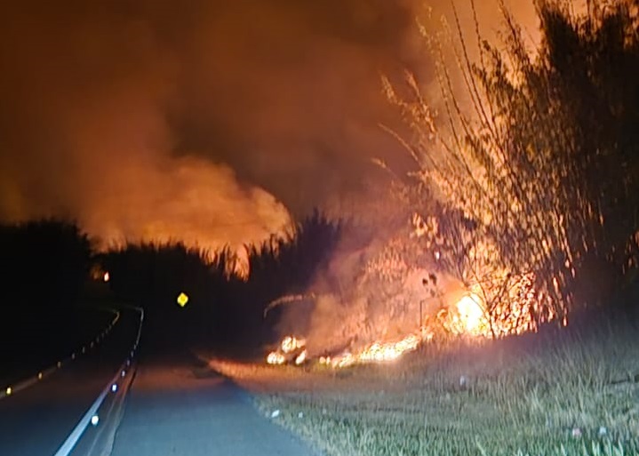 Defesa Civil combate queimada &agrave;s margens de rodovia (3)