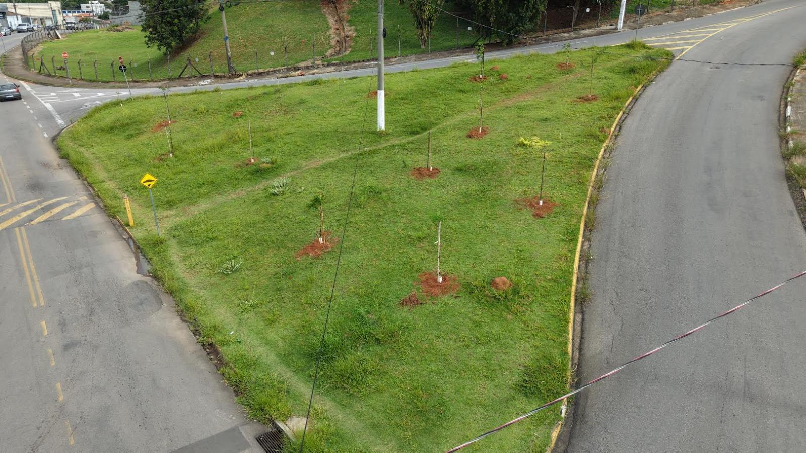Plantio de árvores nativas traz verde e sombra para três bairros da cidade Foto 02