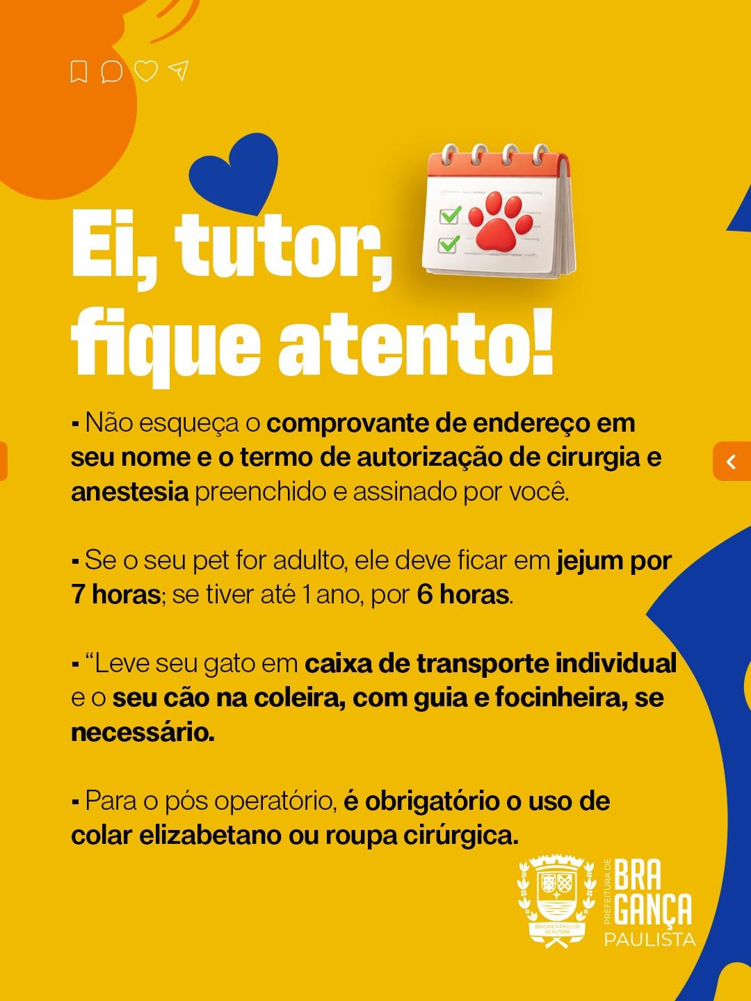 WhatsApp Image 2026-04-07 at 10.14.08 (1)