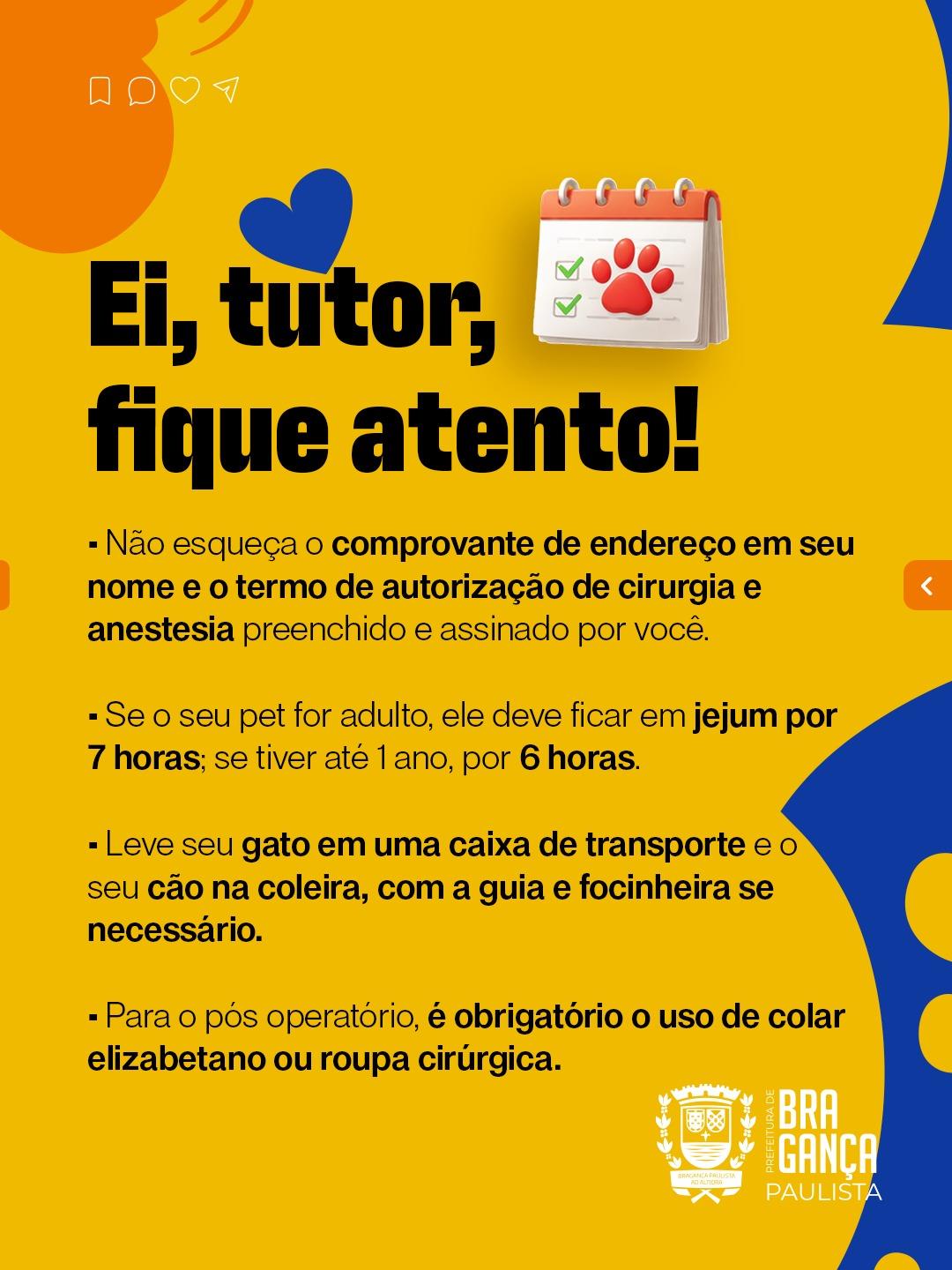 WhatsApp Image 2026-03-11 at 13.06.55 (2)