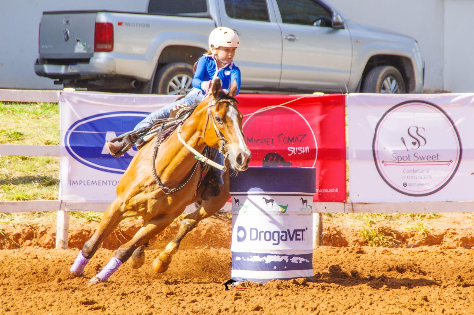 &Uacute;ltima etapa do 4&ordm; Campeonato de Cavalo Quarto de Milha movimenta o Posto de Monta neste s&aacute;bado (1108)