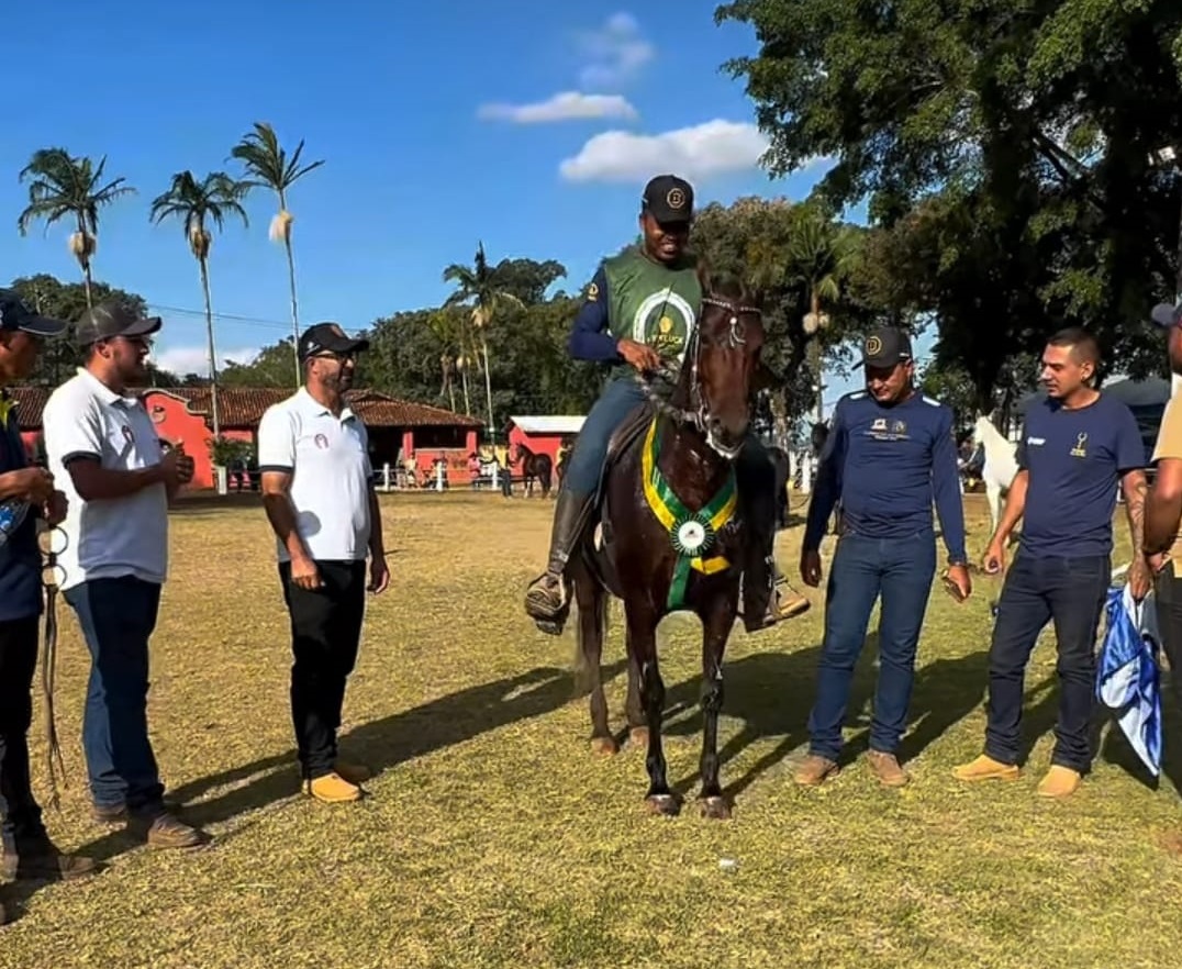 Bragan&ccedil;a Paulista sediou Exposi&ccedil;&atilde;o Especializada do Cavalo Mangalarga Marchador
