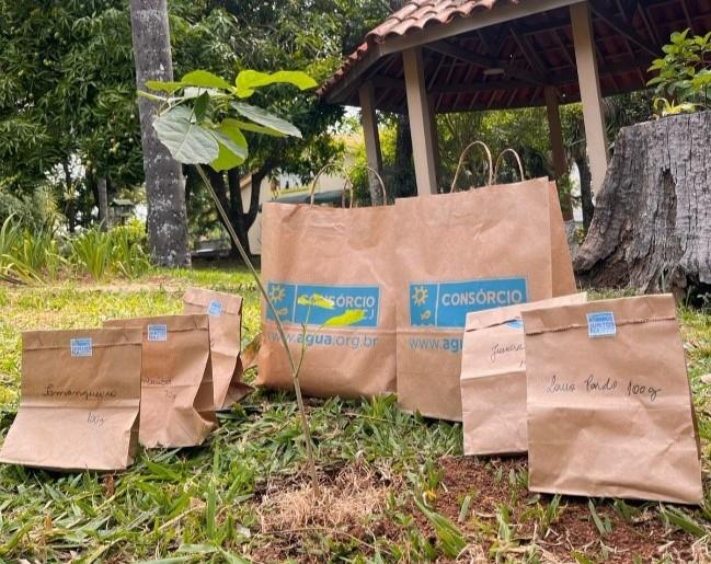 Município recebe doação de insumos para produção de mudas e reforça ações ambientais (3)