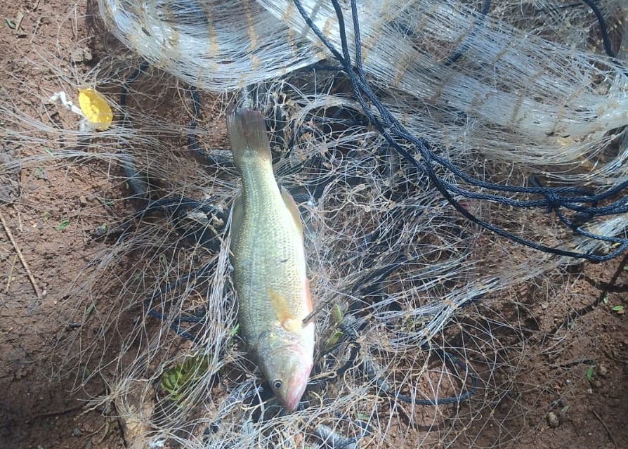 Guarda Civil Municipal de Bragan&ccedil;a Paulista flagra pesca irregular no Lago dos Padres
