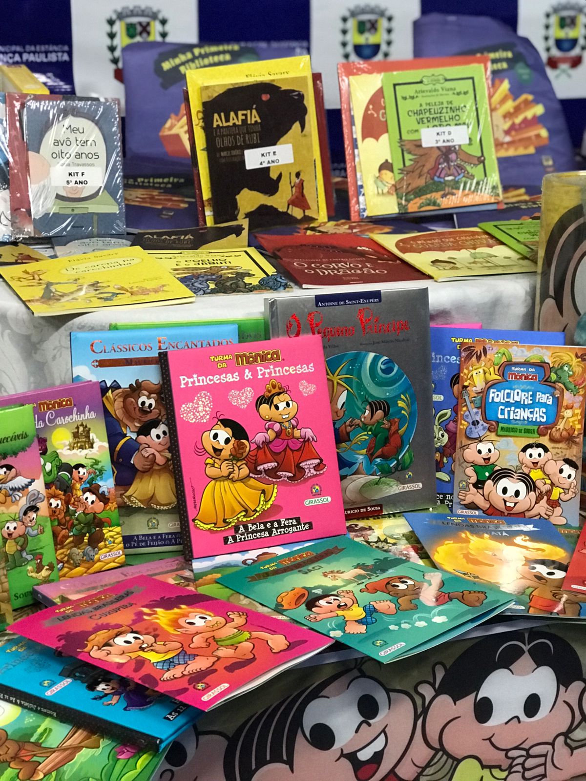 Projetos Minha Primeira Biblioteca Baú da Turma da Mônica