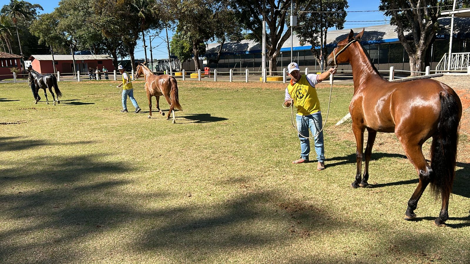 14ª Exposição Mangalarga Marchador em Bragança Paulista 2