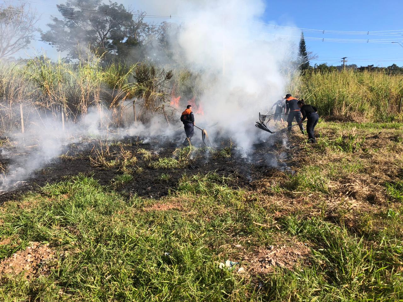 Defesa Civil flagra fogo em terreno 03