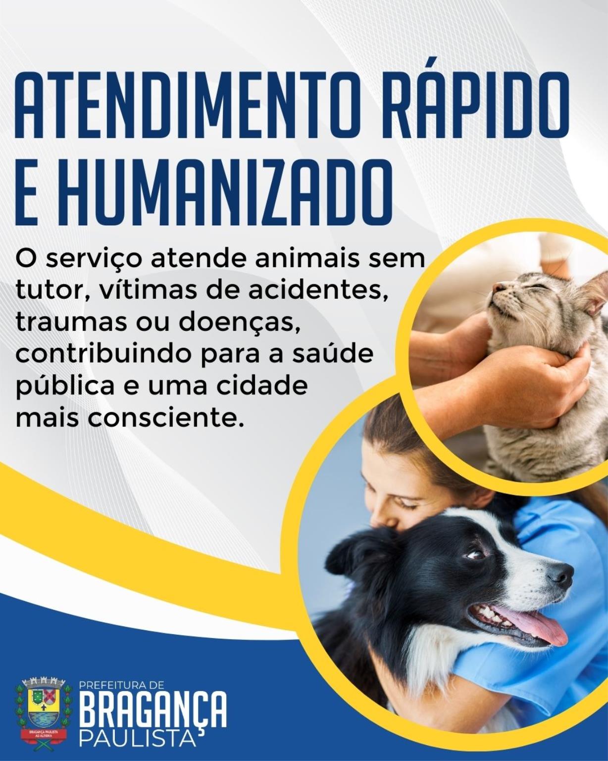 SAMUVET garante atendimento 24 horas para resgate de animais doentes ou feridos em Bragan&ccedil;a Paulista (4)