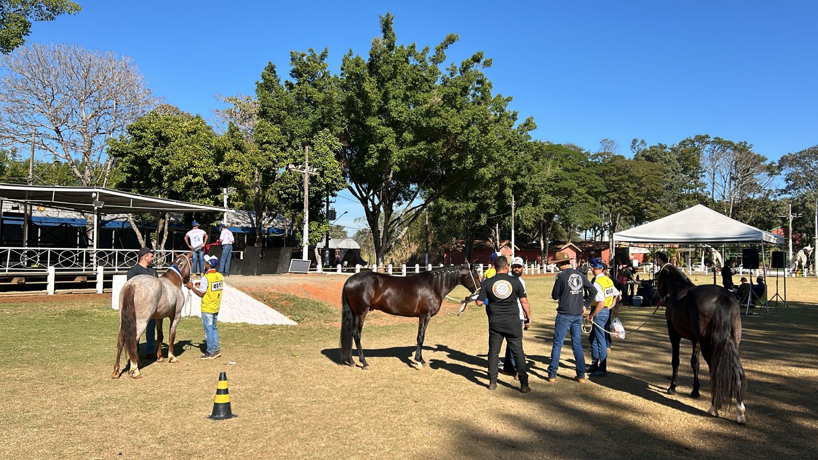 Exposi&ccedil;&atilde;o de Cavalos Mangalarga Marchador em Bragan&ccedil;a Paulista acontece at&eacute; s&aacute;bado (2208)