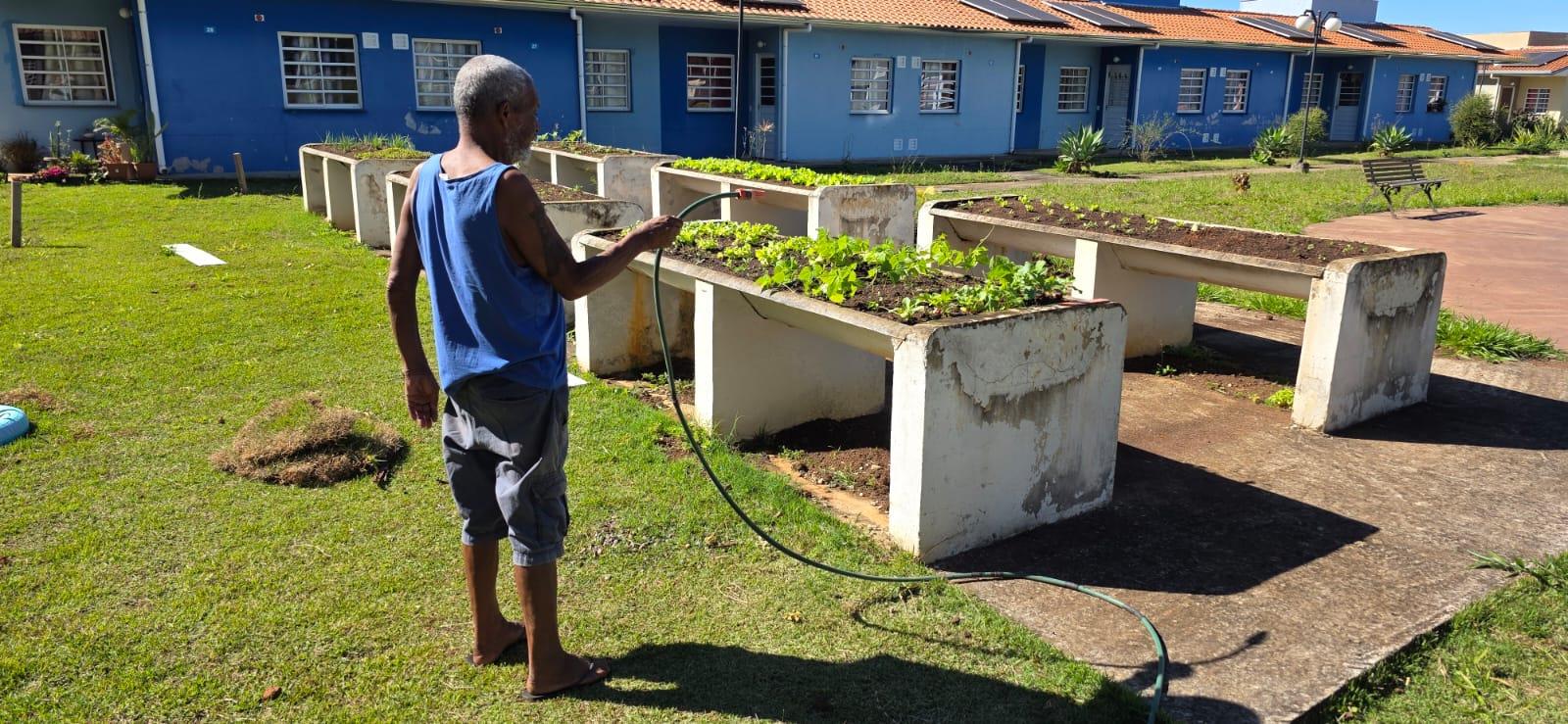 Oficinas de horta, jardinagem e artesanato transformam espaços do Programa Vida Longa 03