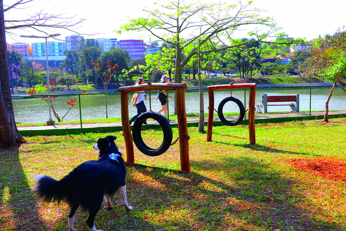 Espaço PET Lago do Taboão - Arquivo SECOM