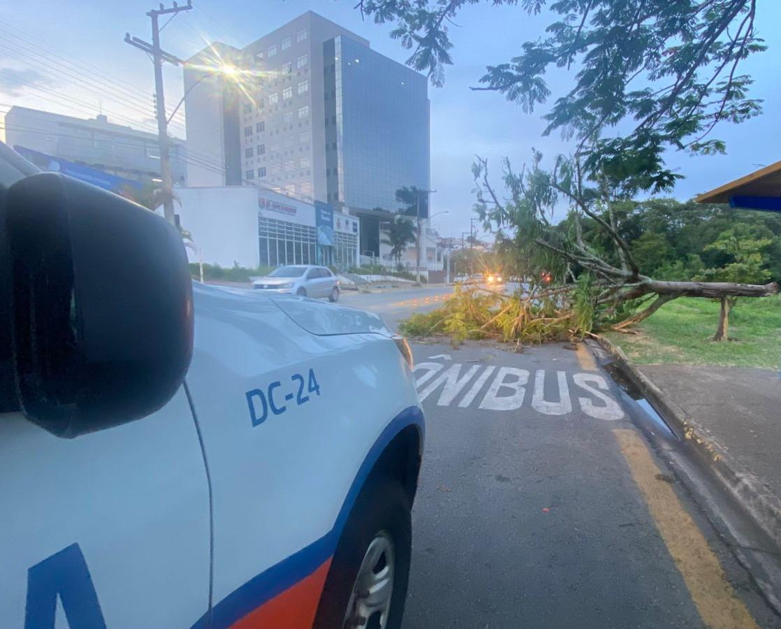 Bragança Paulista registra chuva de moderada intensidade Foto 3