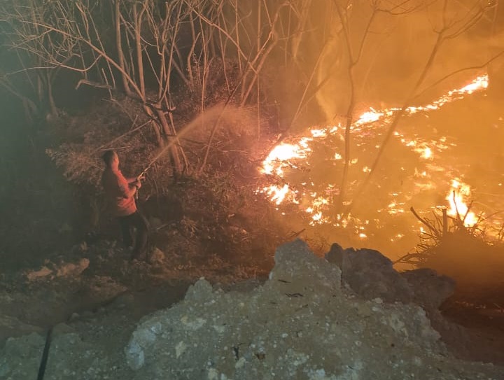 Defesa Civil combate queimada &agrave;s margens de rodovia (4)