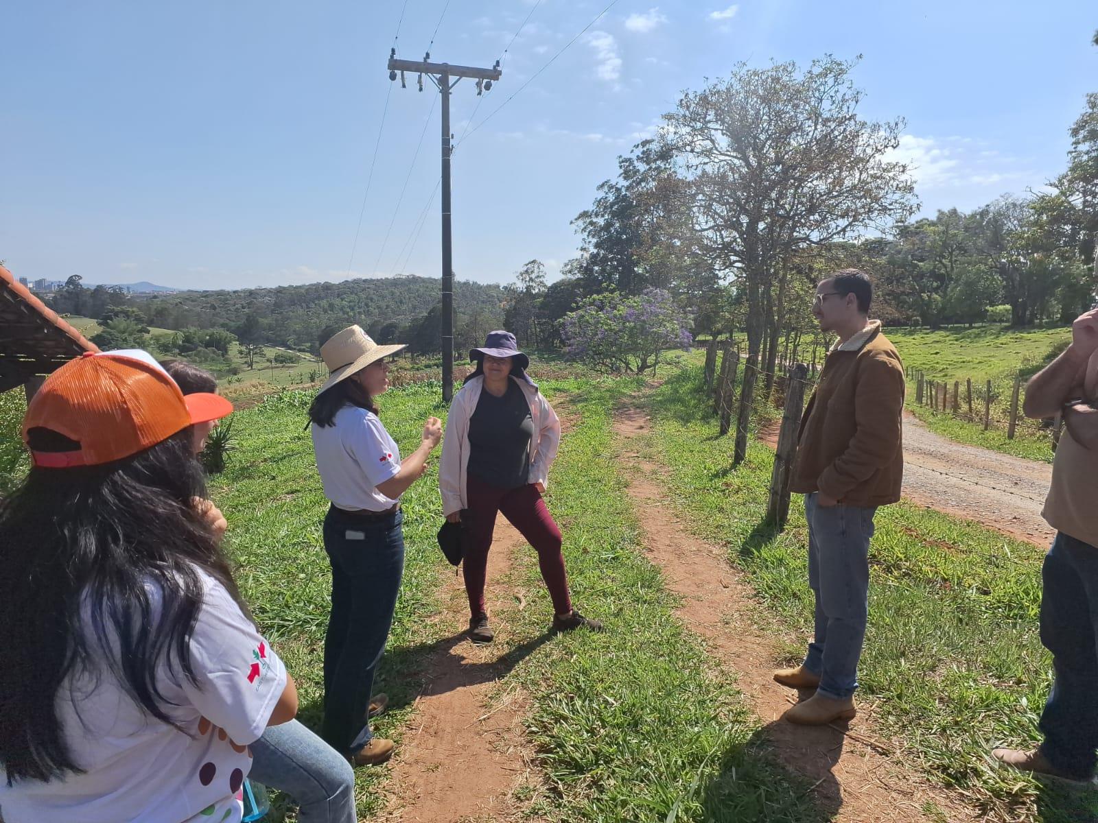 Secretaria de Desenvolvimento dos Agronegócios realiza visita técnica a produtores de hor