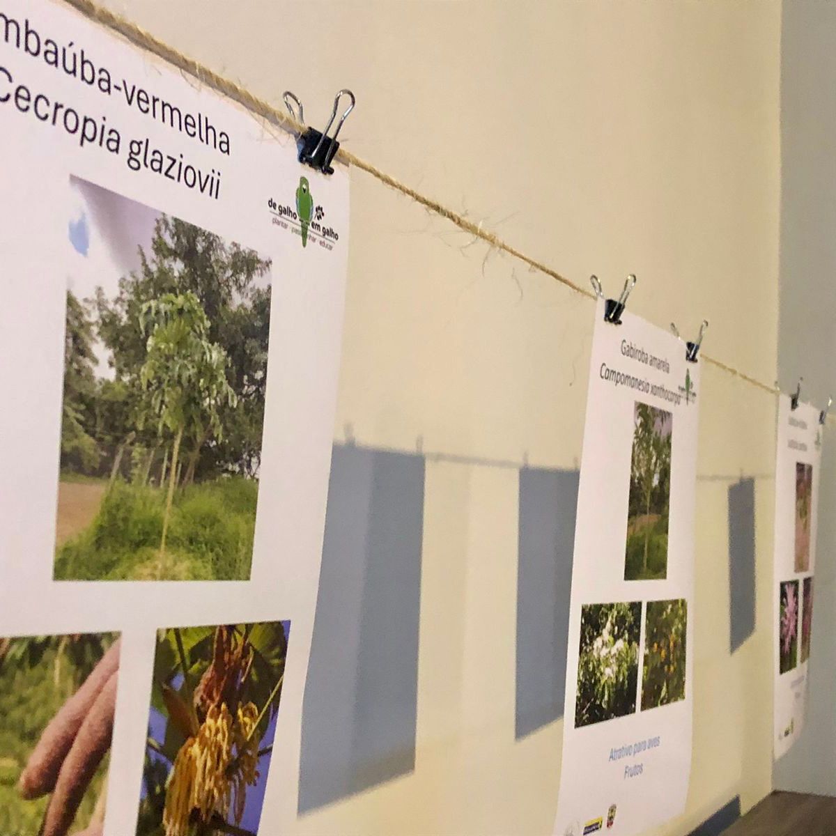 Mostra plantas e aves 03