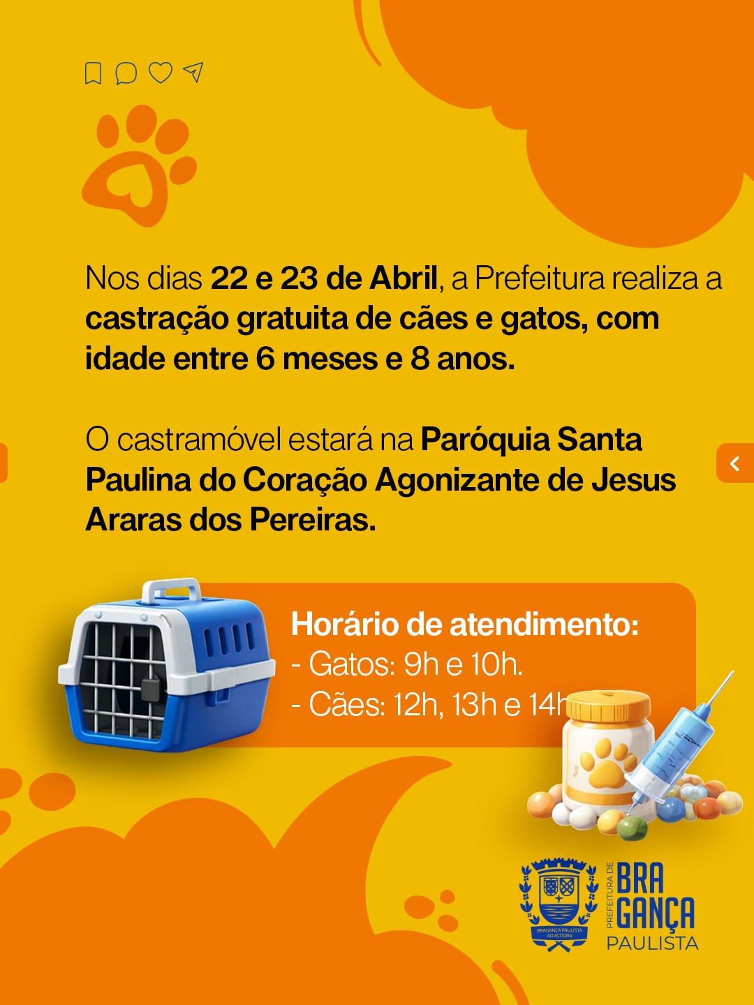 WhatsApp Image 2026-04-07 at 10.14.08