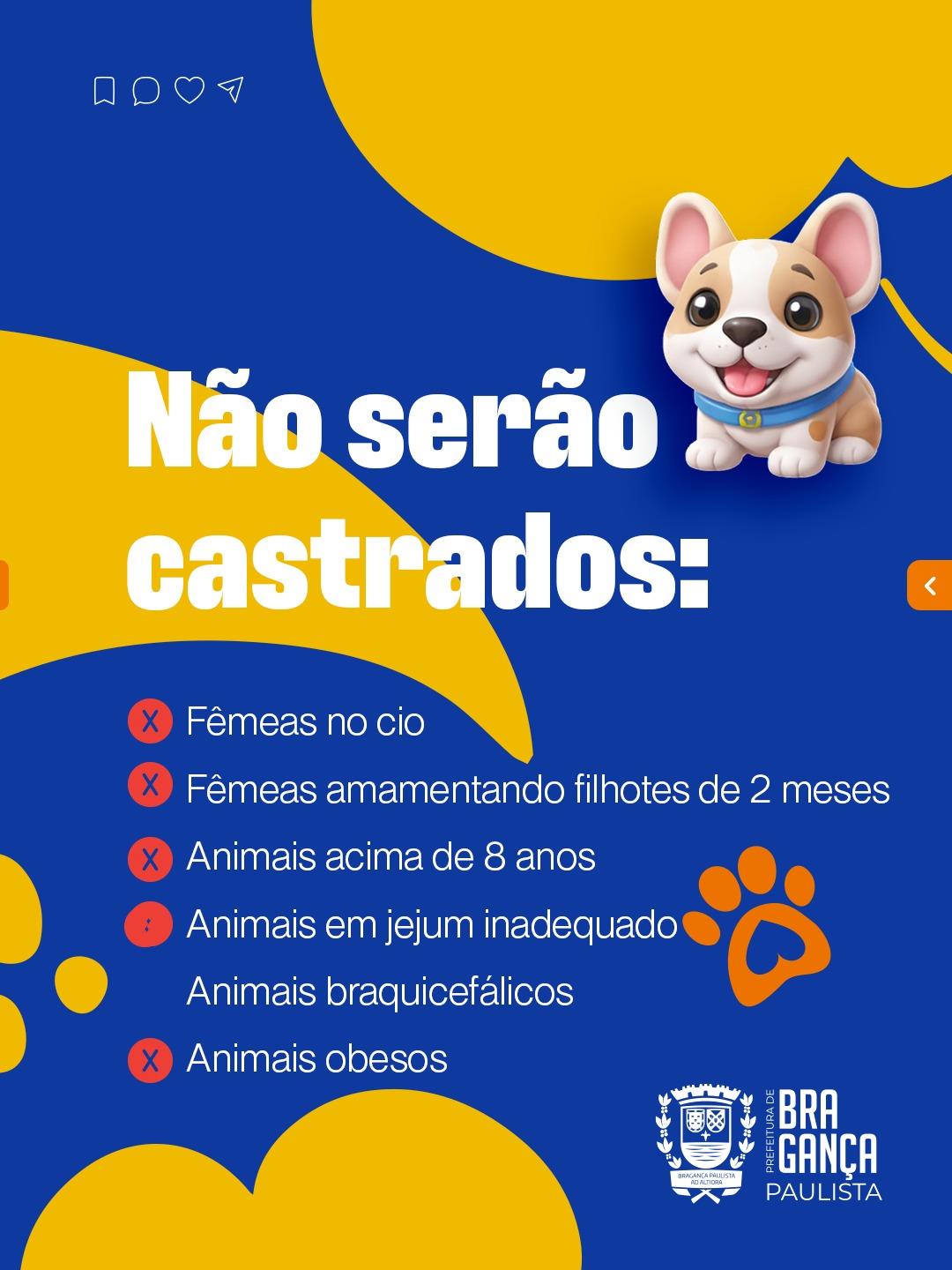 WhatsApp Image 2026-03-11 at 13.06.55 (3)