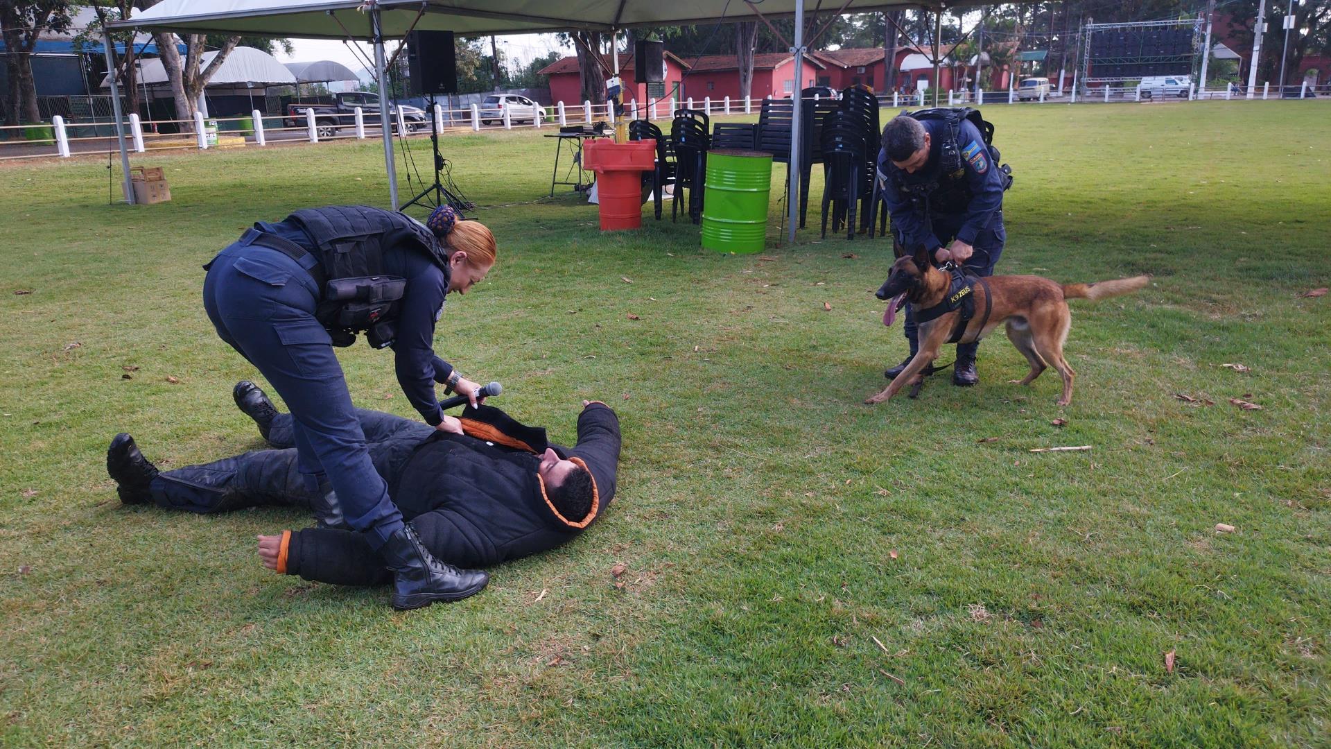 Educa&ccedil;&atilde;o e divers&atilde;o marcam visita de estudantes ao recinto da 59&ordf; Expoagro e 32&ordf; Festa do Pe&atilde;o Foto 03