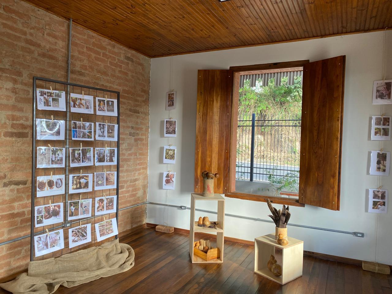 Exposi&ccedil;&atilde;o da Escola Viverde encerra Junho VerdeAzul 2025 no CES Sala Verde Pindorama (4)