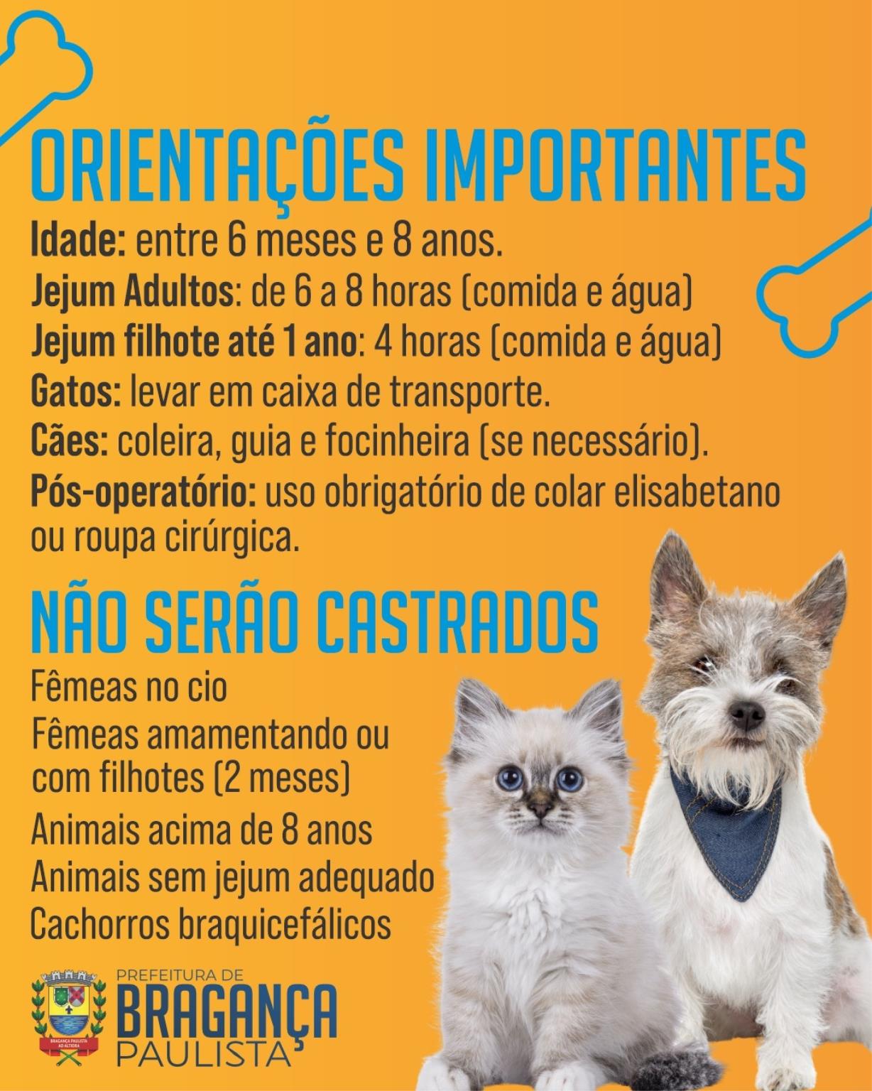 Castramóvel acontece nos dias 13 e 14 de dezembro em Bragança Paulista (4)