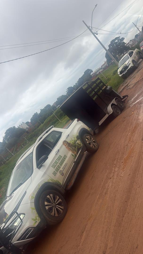 Secretaria Municipal do Meio Ambiente atrav&eacute;s da DIBEM atua em resgate de cavalo em ribeir&atilde;o e atendimento a &eacute;gua em via p&uacute;blica (4)