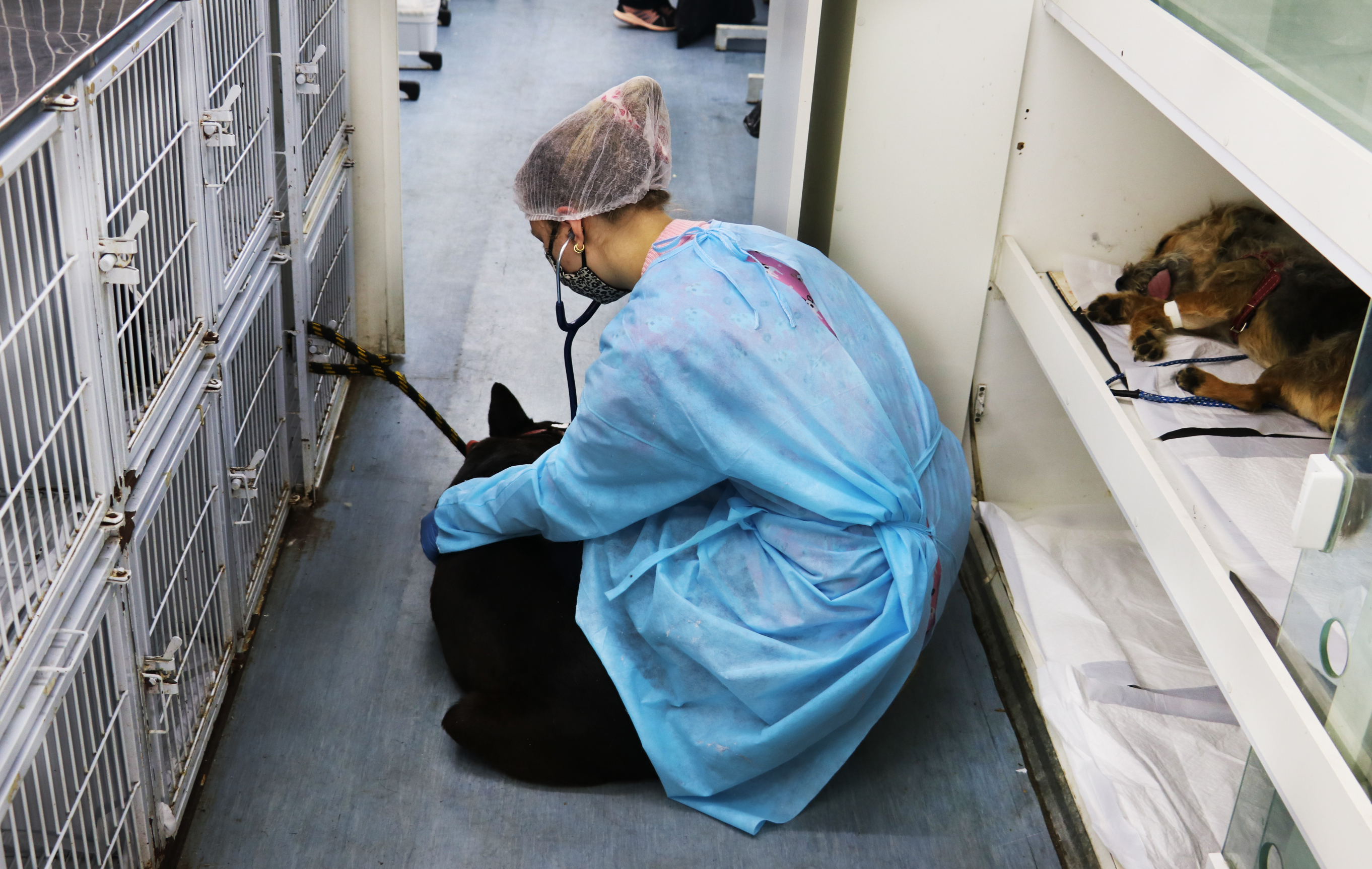 Castram&oacute;vel atender&aacute; na Penha nos dias 23 e 24 de novembro