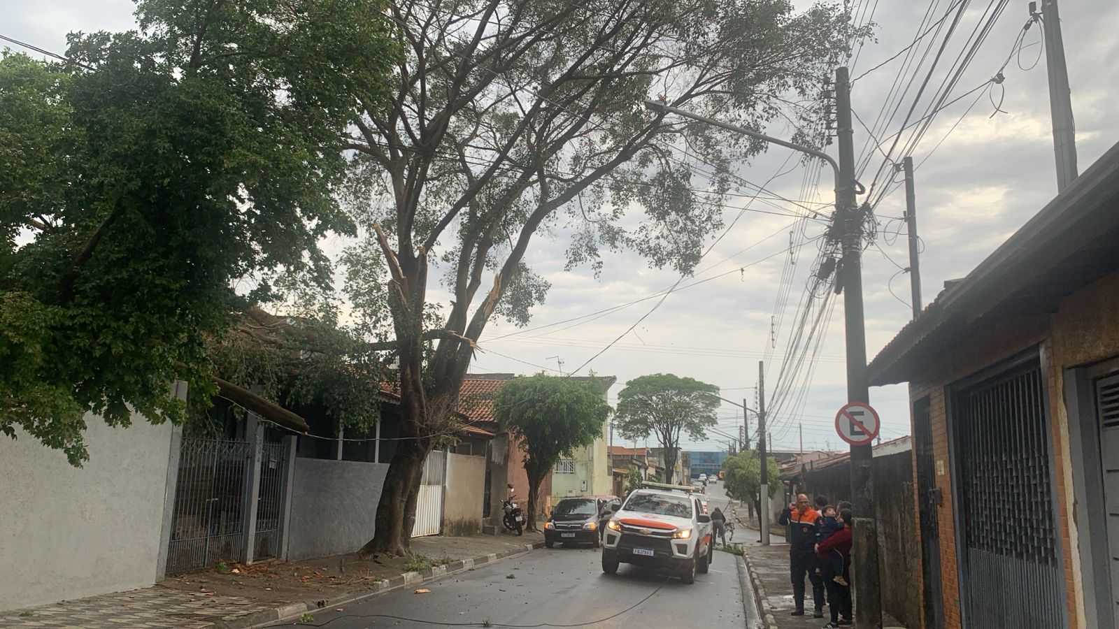 8b355149-38be-47b3-a213-2519dd8fe142