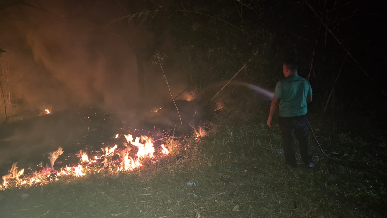 Defesa Civil combate queimada &agrave;s margens de rodovia
