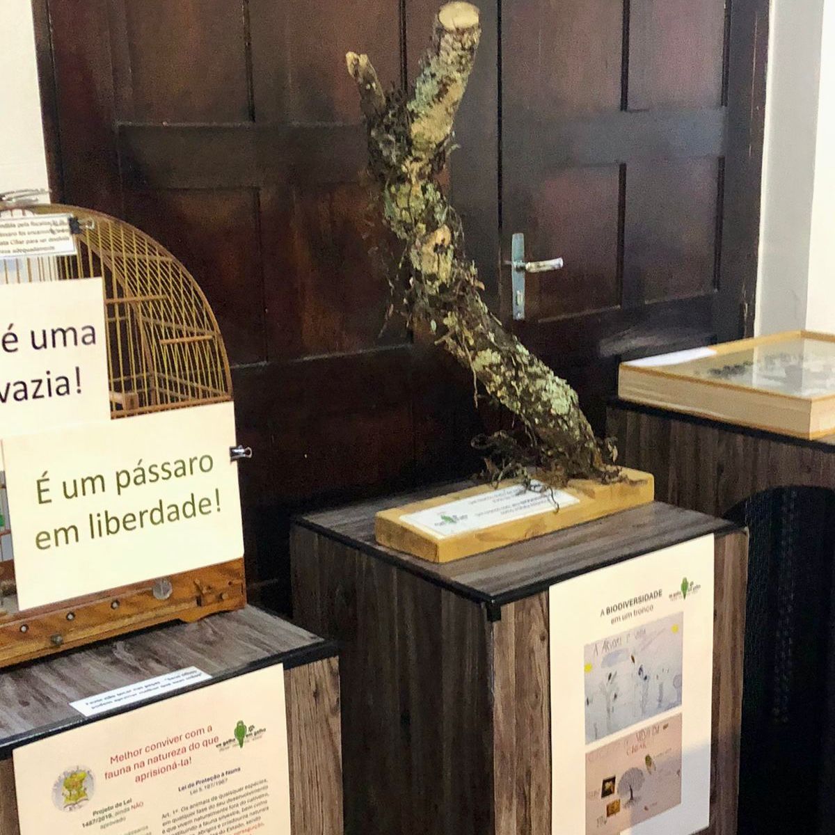Mostra plantas e aves 04