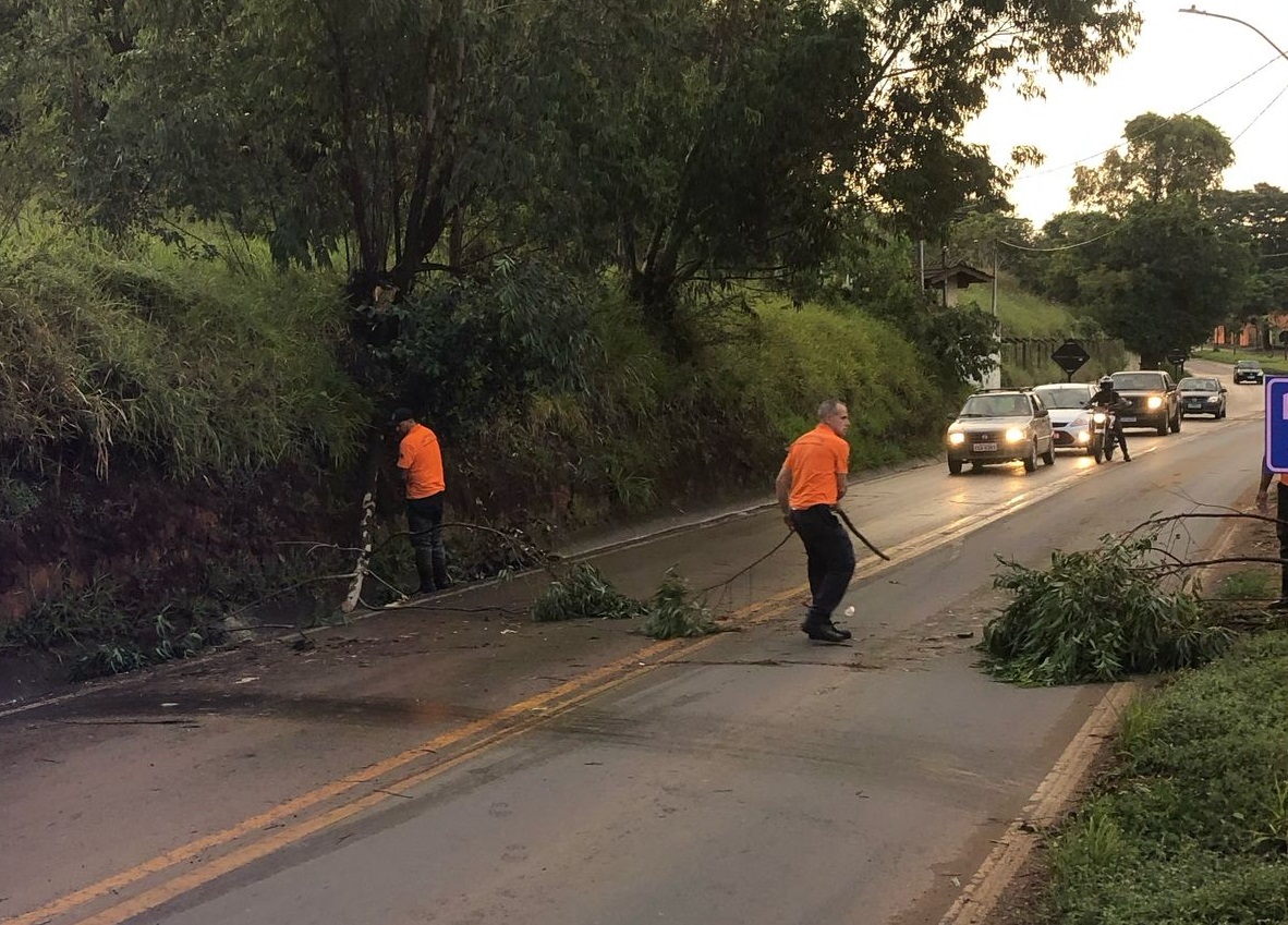 Rod. Padre Aldo Bolini